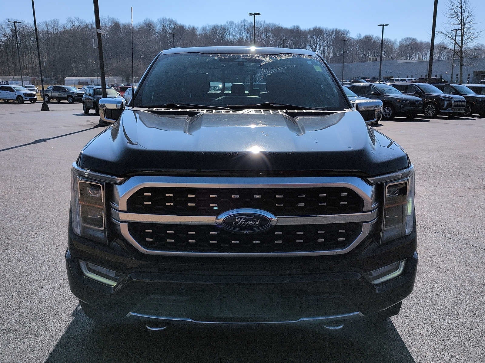 2023 Ford F-150 Platinum